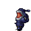 Midnight Panther